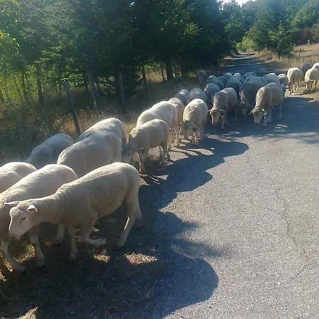 Il Borgo Delle Arti Armento